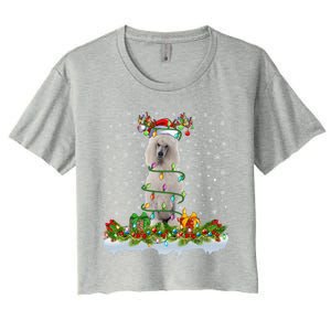 Matching Xmas Lighting Santa Standard Poodle Dog Christmas Cool Gift Women's Crop Top Tee