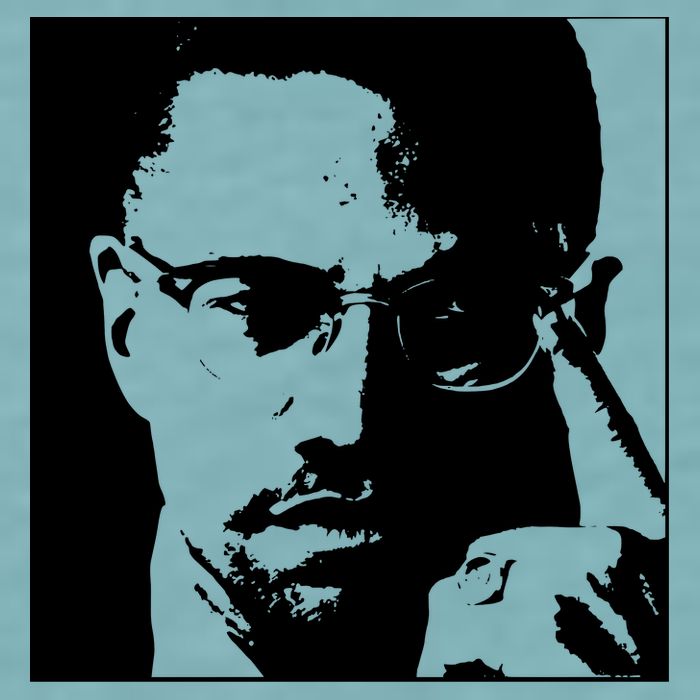 Malcolm X Sueded Cloud Jersey T-Shirt