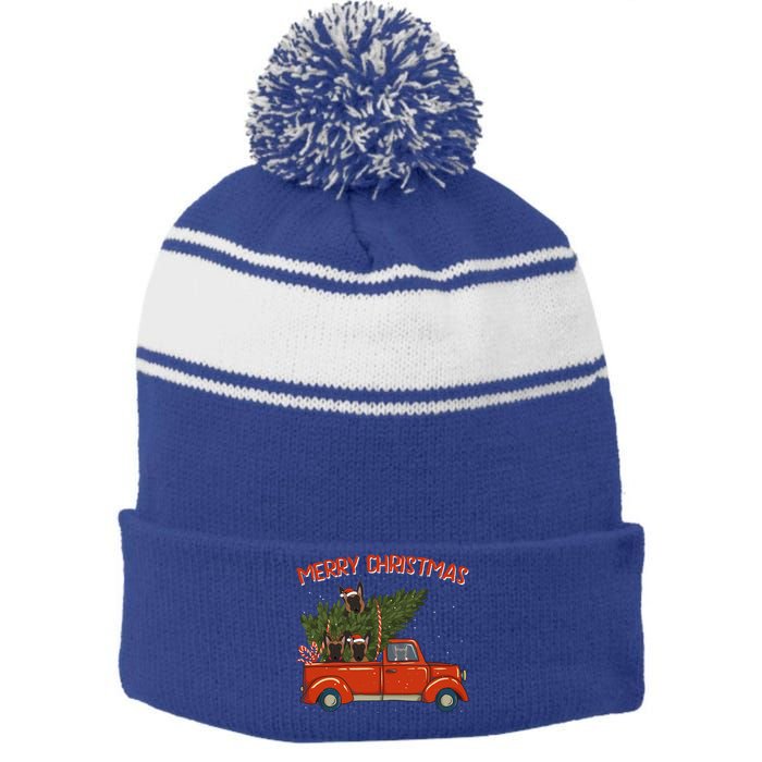 Malinois Xmas Vintage Red Pickup Retro Truck Gift Stripe Pom Pom Beanie