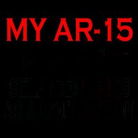 My AR-15 Self Identifies As A Bolt Action Mug