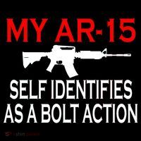 My AR-15 Self Identifies As A Bolt Action Poster