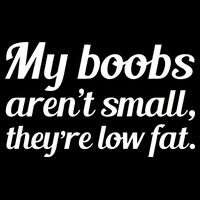 My Boobs Aren't Small They're Low Fat Hoodie