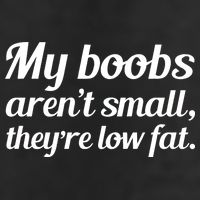 My Boobs Aren't Small They're Low Fat Adult Drive Performance Visor