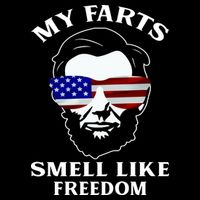 My Farts Smell Like Freedom Abraham Lincoln 16 in Basic Backpack