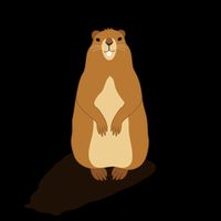 My Favorite Holiday Groundhog Day Mug