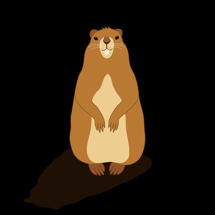 My Favorite Holiday Groundhog Day Mug