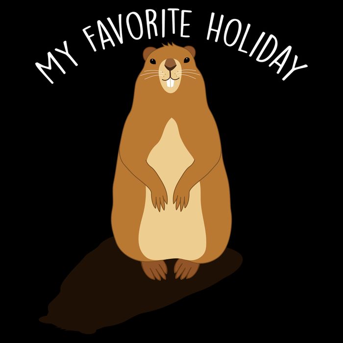My Favorite Holiday Groundhog Day Youth Performance Sprint T-Shirt