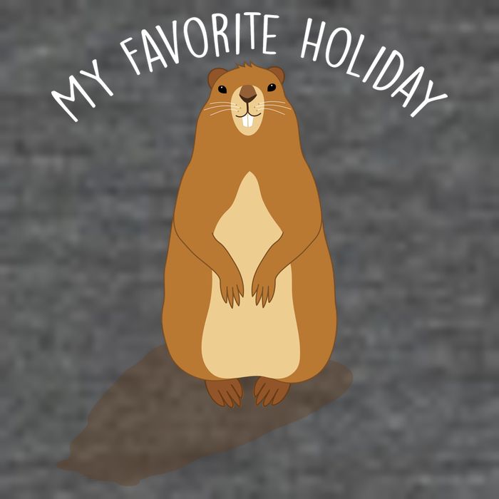 My Favorite Holiday Groundhog Day Hoodie