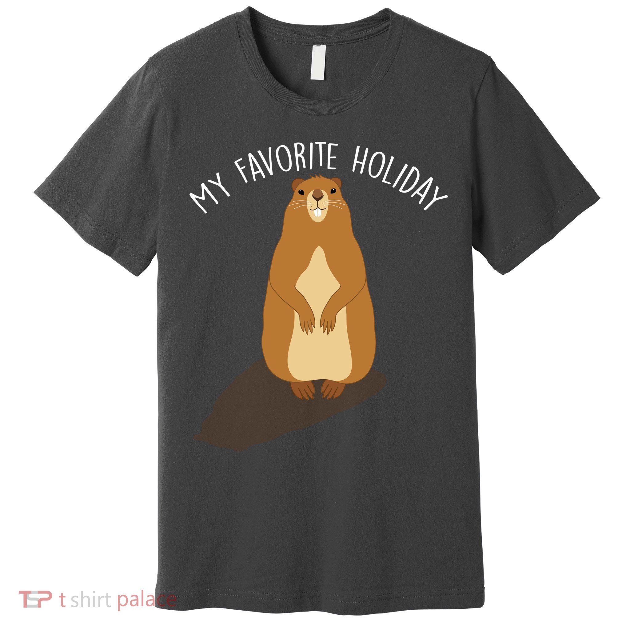 My Favorite Holiday Groundhog Day Premium T-Shirt