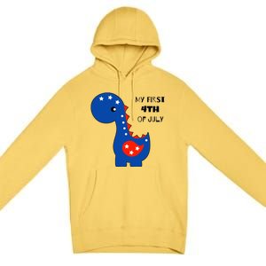 My First 4th of July Cute Dinosaur Premium Pullover Hoodie