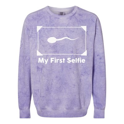 My First Selfie Funny Parody Colorblast Crewneck Sweatshirt