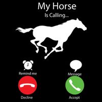 My Horse Is Calling Cropped Pullover Crew