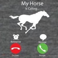 My Horse Is Calling T-Shirt