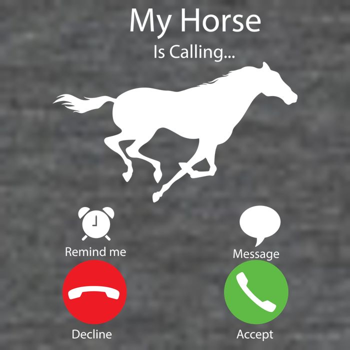 My Horse Is Calling Women's V-Neck T-Shirt