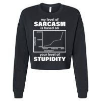 My Level Of Sarcasm Depends On Your Level Of Stupidity Cropped Pullover Crew
