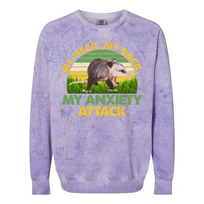 My Neck My Back My Anxiety Attack Vintage Opossum Colorblast Crewneck Sweatshirt