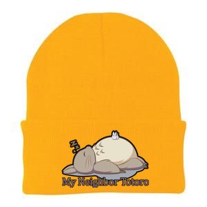 My Neighbor Totoro Sleepign Knit Cap Winter Beanie