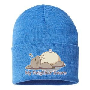 My Neighbor Totoro Sleepign Sustainable Knit Beanie