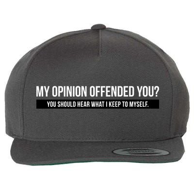 My Opinion Offended You Should Hear What I Say To Myself Wool Snapback Cap