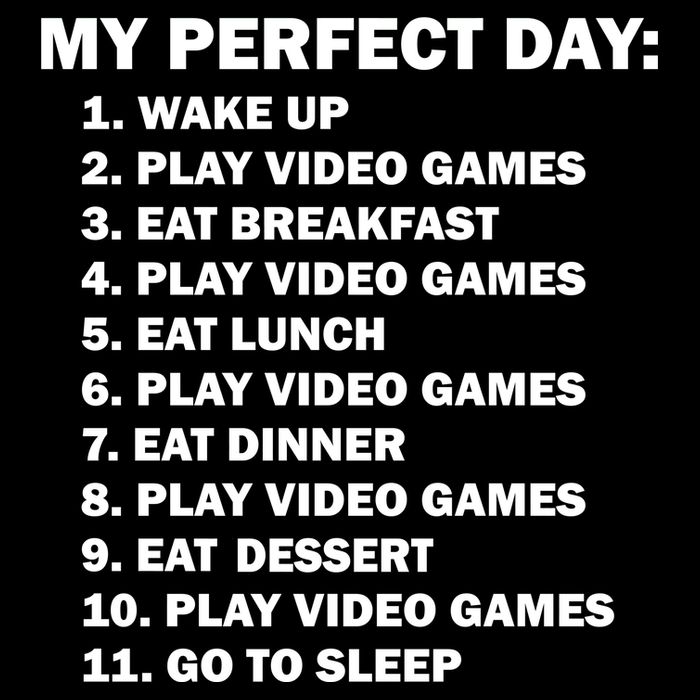 My Perfect Day Sleep Eat Play Video Games USA-Made Doggie Bandana