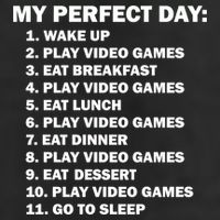 My Perfect Day Sleep Eat Play Video Games Adult Drive Performance Visor