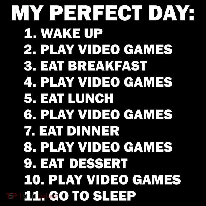 My Perfect Day Sleep Eat Play Video Games Magnet