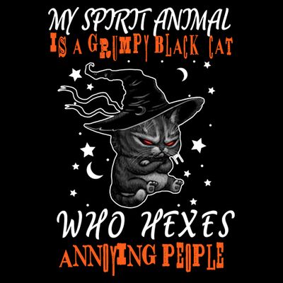 My Spirit Animal Is A Grumpy Black Cat That Hexes Annoying People T-Shirt