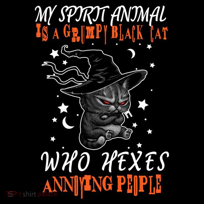 My Spirit Animal Is A Grumpy Black Cat That Hexes Annoying People Toddler T-Shirt