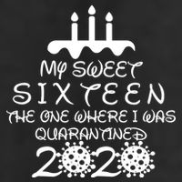 My Sweet Sixteen The One Where I Was Quarantined Adult Drive Performance Visor