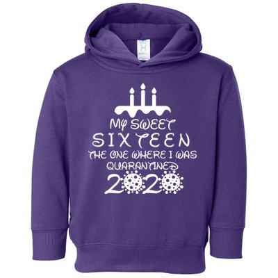 My Sweet Sixteen The One Where I Was Quarantined Toddler Hoodie