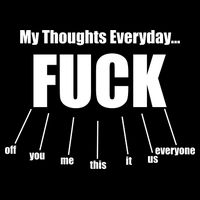 My Thoughts Everyday Fuck Everything Funny Meme USA-Made Doggie Bandana