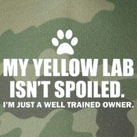 My Yellow Lab Isn't Spoiled Legacy Tie Dye Trucker Hat