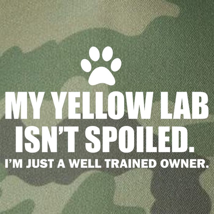My Yellow Lab Isn't Spoiled Legacy Tie Dye Trucker Hat