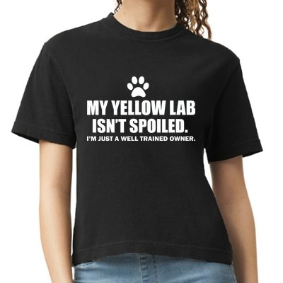 My Yellow Lab Isn't Spoiled Comfort Colors Boxy T-Shirt