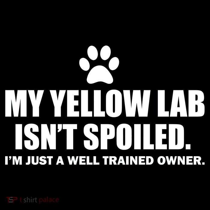 My Yellow Lab Isn't Spoiled Sweatshirt