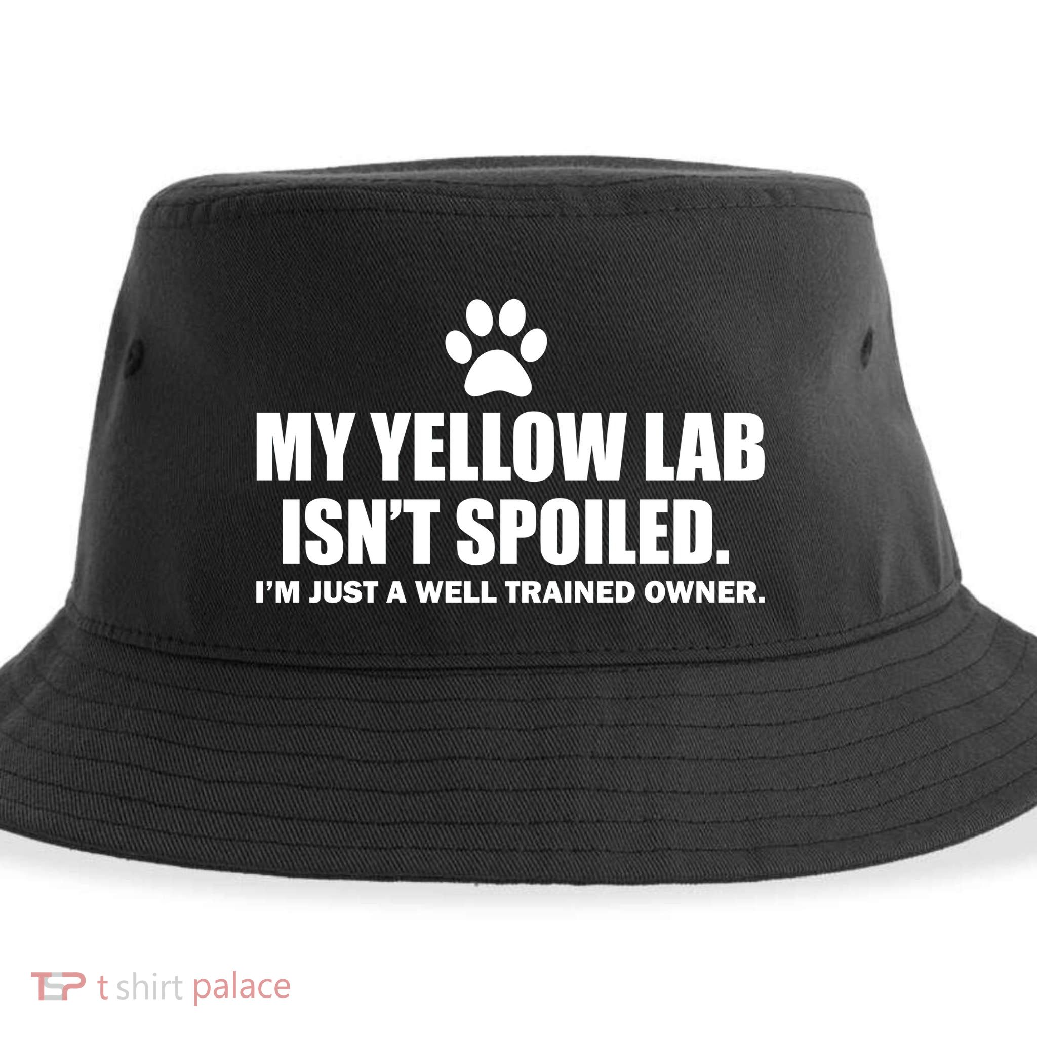 My Yellow Lab Isn't Spoiled Sustainable Bucket Hat