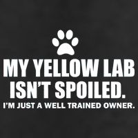 My Yellow Lab Isn't Spoiled Hat