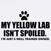 My Yellow Lab Isn't Spoiled Garment-Dyed Sweatshirt