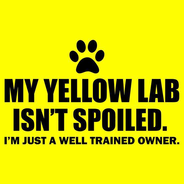 My Yellow Lab Isn't Spoiled T-Shirt