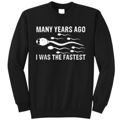 Many Years Ago I Was The Fastest V Sweatshirt