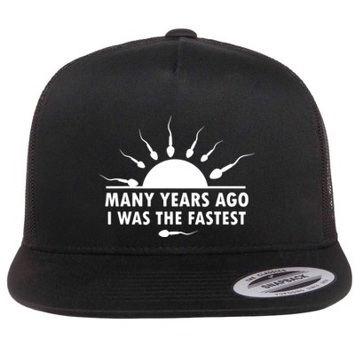 Many Years Ago I Was The Fastest Funny Sarcastic Flatbill Hat