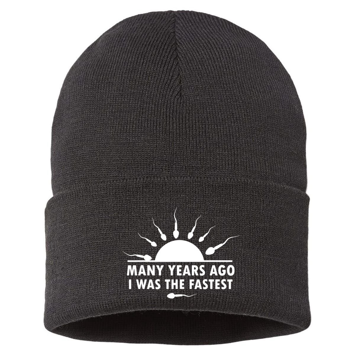Many Years Ago I Was The Fastest Funny Sarcastic Sustainable Knit Beanie