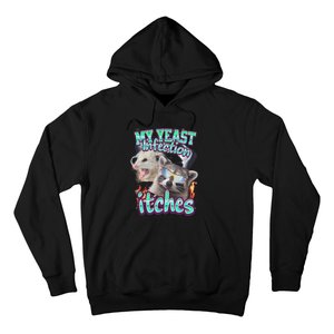 My Yeast Infection Itches Opossum Raccoon Hoodie