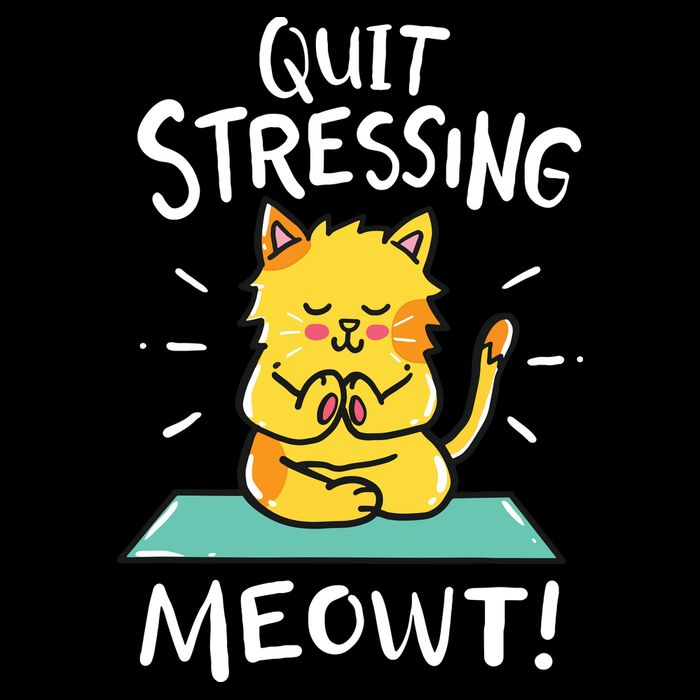 Meditation Yoga Meowt Cat Funny Cute Esoteric Gift Drawstring Bag
