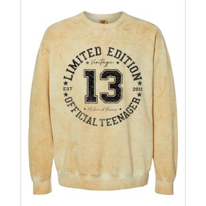 Nager 13th Birthday 13 Year Old Gifts Colorblast Crewneck Sweatshirt