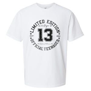 Nager 13th Birthday 13 Year Old Gifts Sueded Cloud Jersey T-Shirt