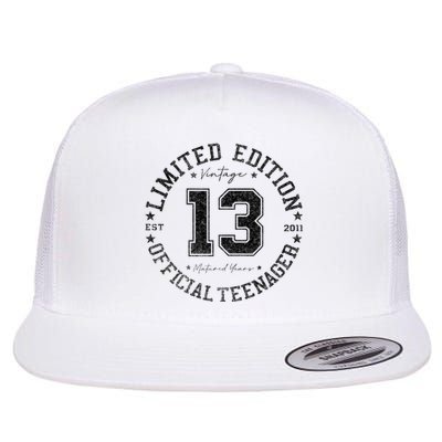 Nager 13th Birthday 13 Year Old Gifts Flat Bill Trucker Hat