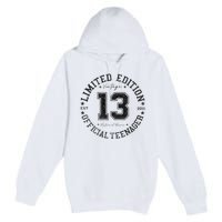 Nager 13th Birthday 13 Year Old Gifts Premium Pullover Hoodie