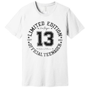 Nager 13th Birthday 13 Year Old Gifts Premium T-Shirt