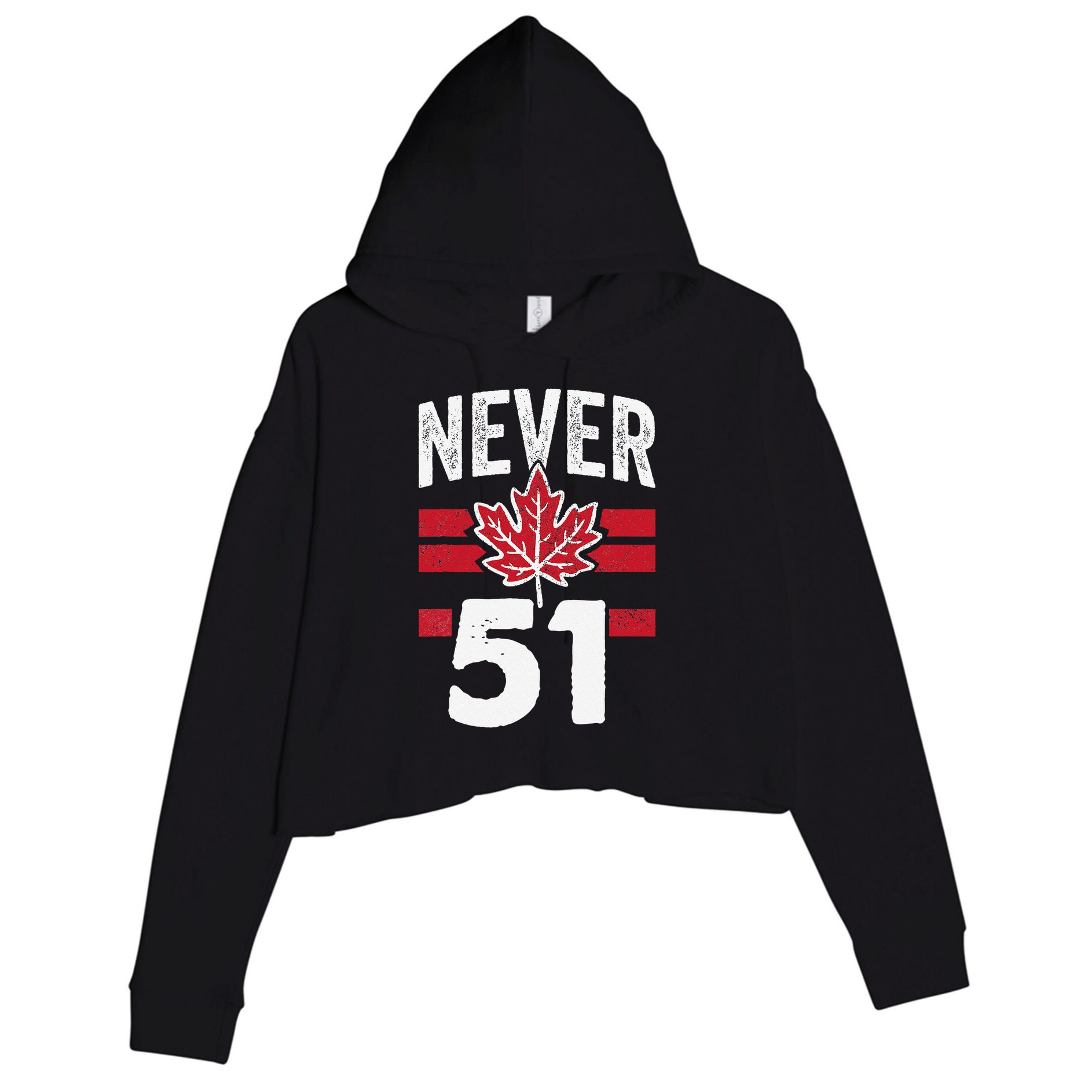 Never 51st State Canada Crop Fleece Hoodie
